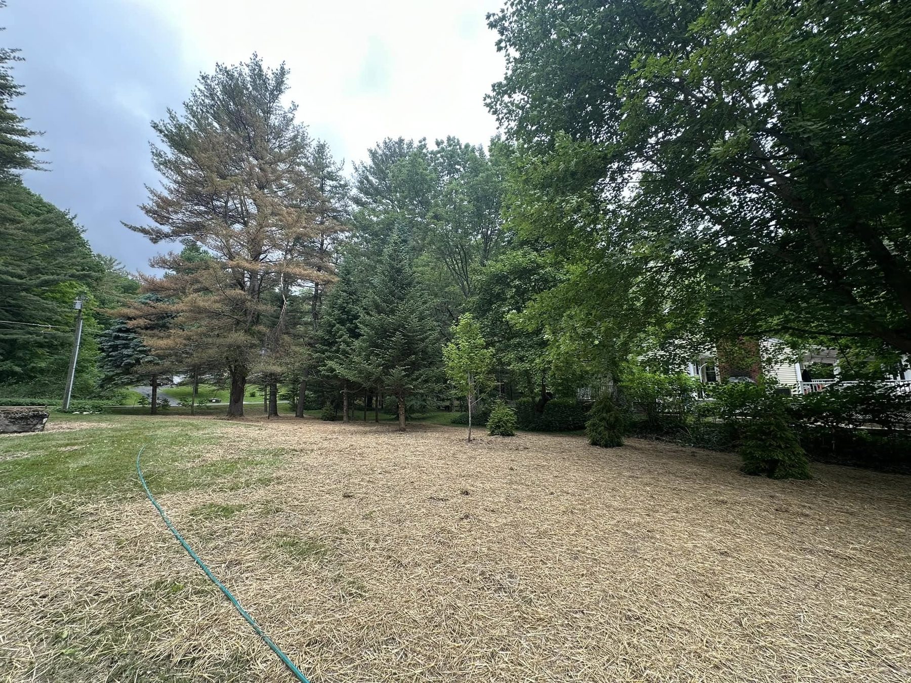 Cleared lot graded and seeded for a new lawn