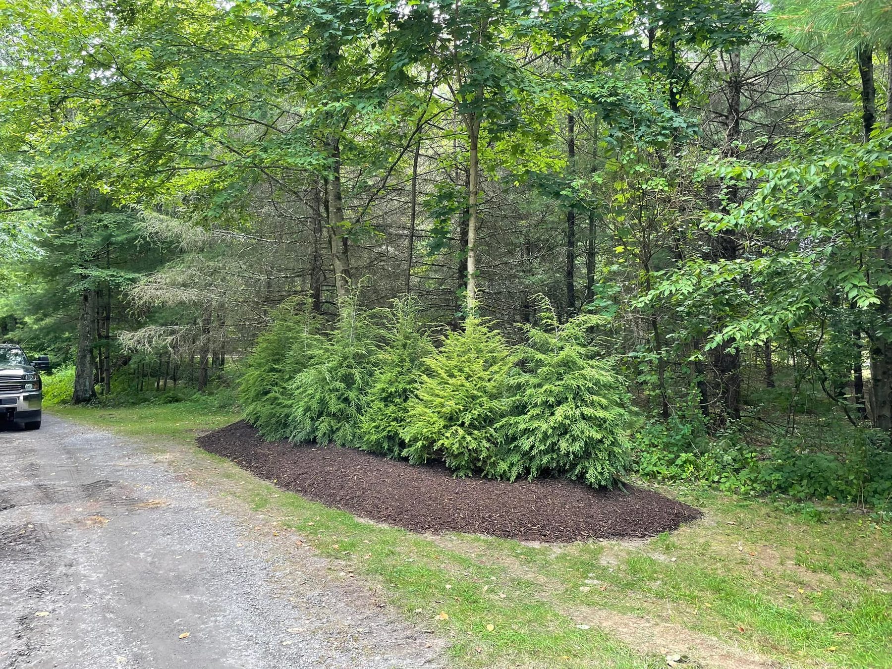 Mulched bed at the edge of a gravel drive and woodland