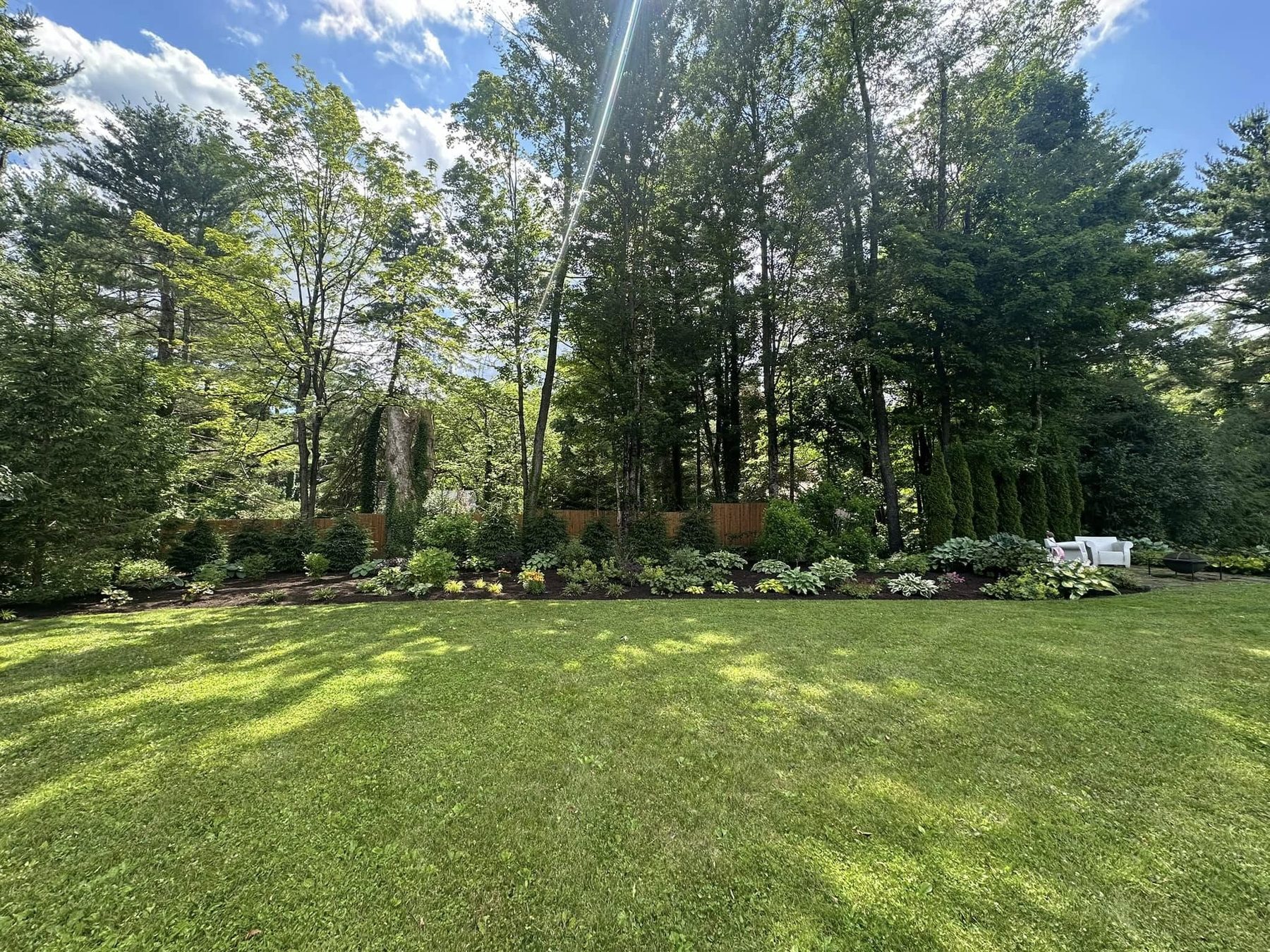Planted border of hydrangeas along a lawn edge
