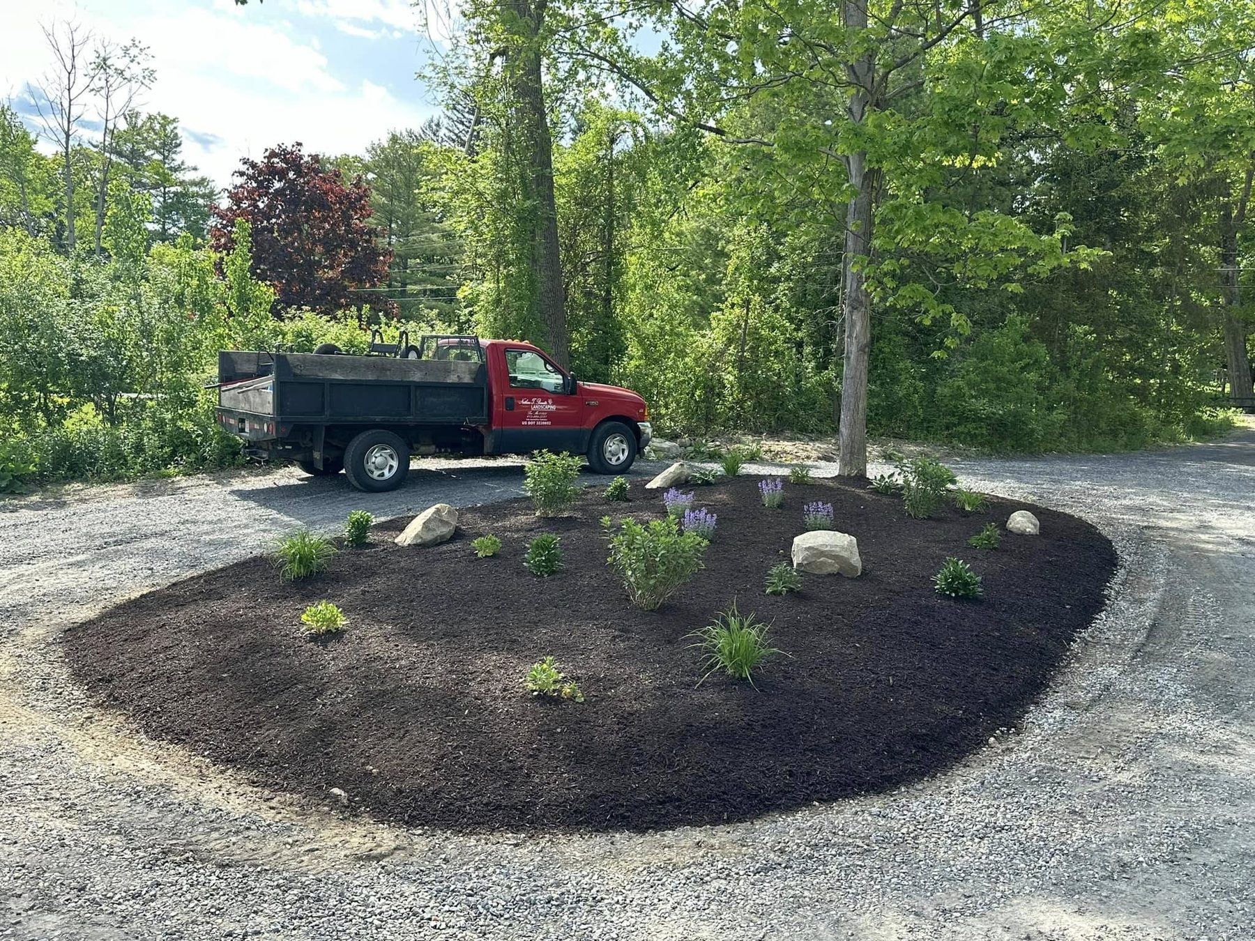 Mulched island bed with boulders and new plantings