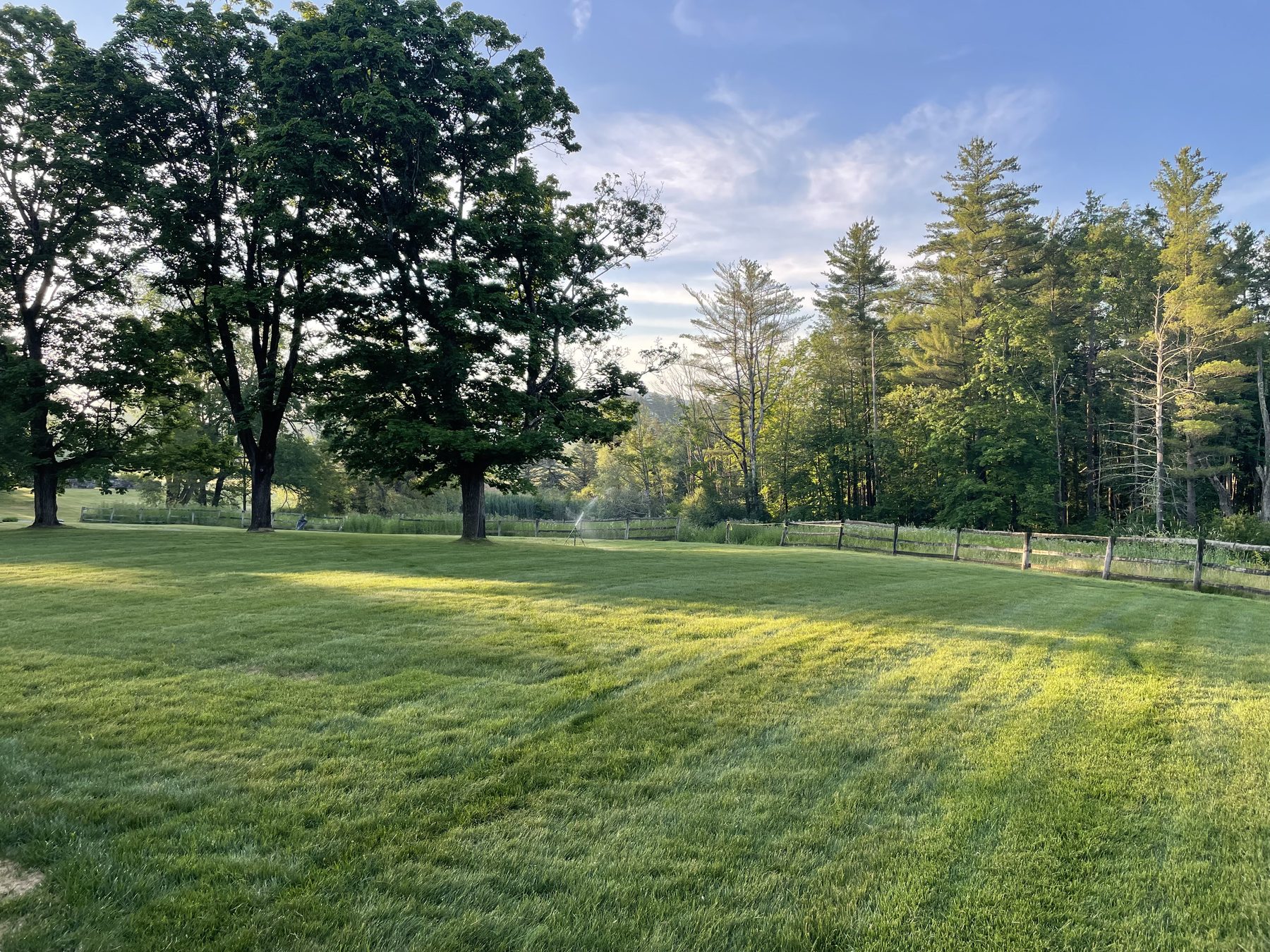 Open maintained lawn among mature trees