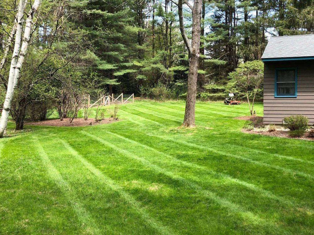 Freshly striped lawn maintained at a wooded property