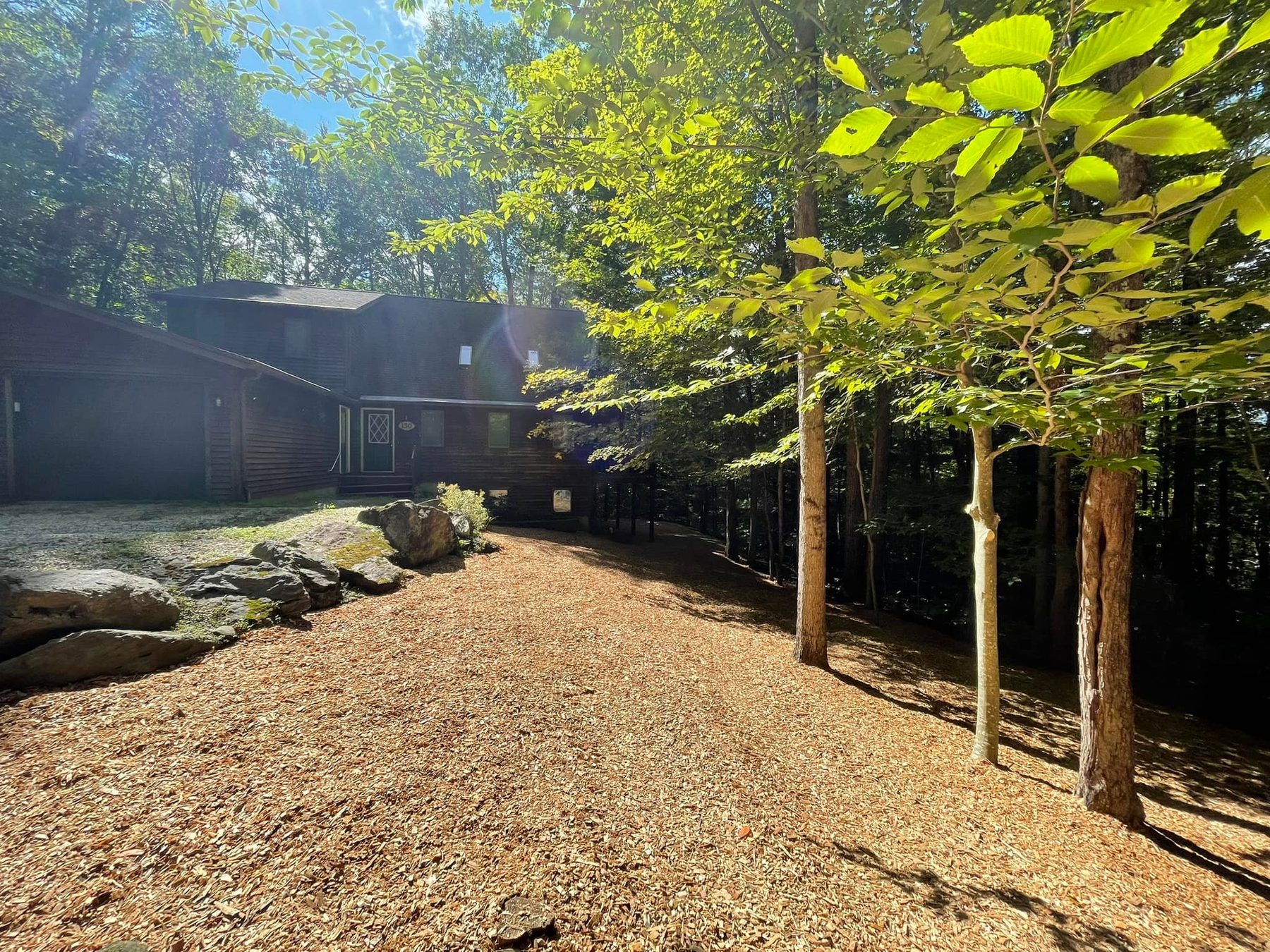 Wooded drive with newly planted trees