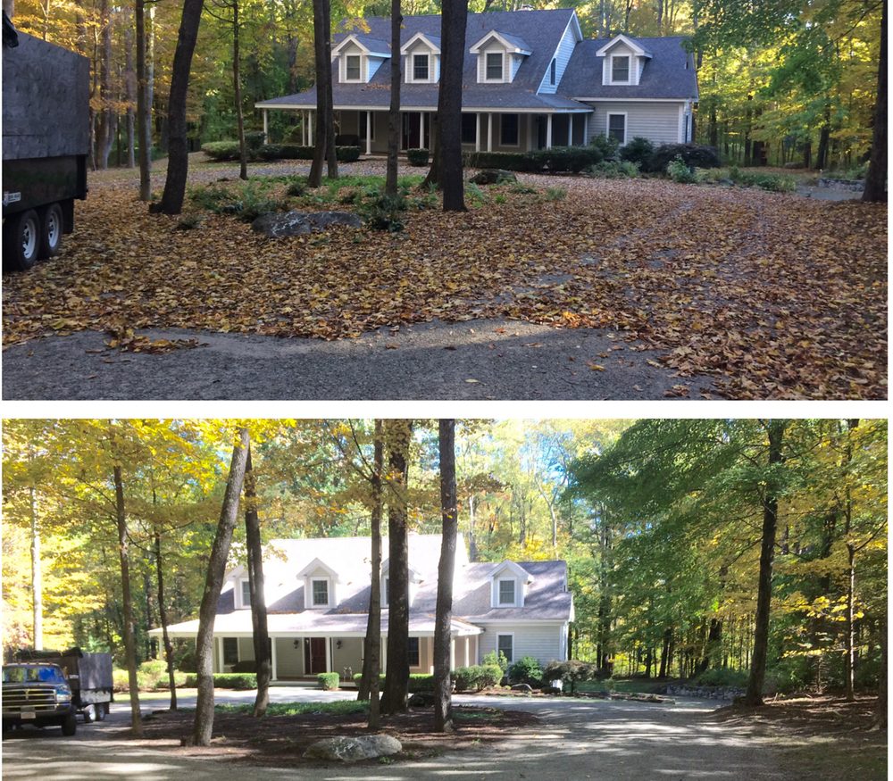 Leaf removal and fall cleanup on a wooded property
